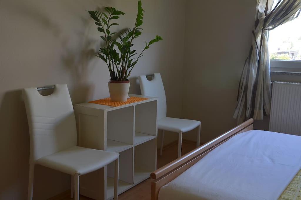 Apartman Ana Pula - Calm, Free Parking, Close To Center Ngoại thất bức ảnh